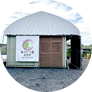 樹ぶどう園入口